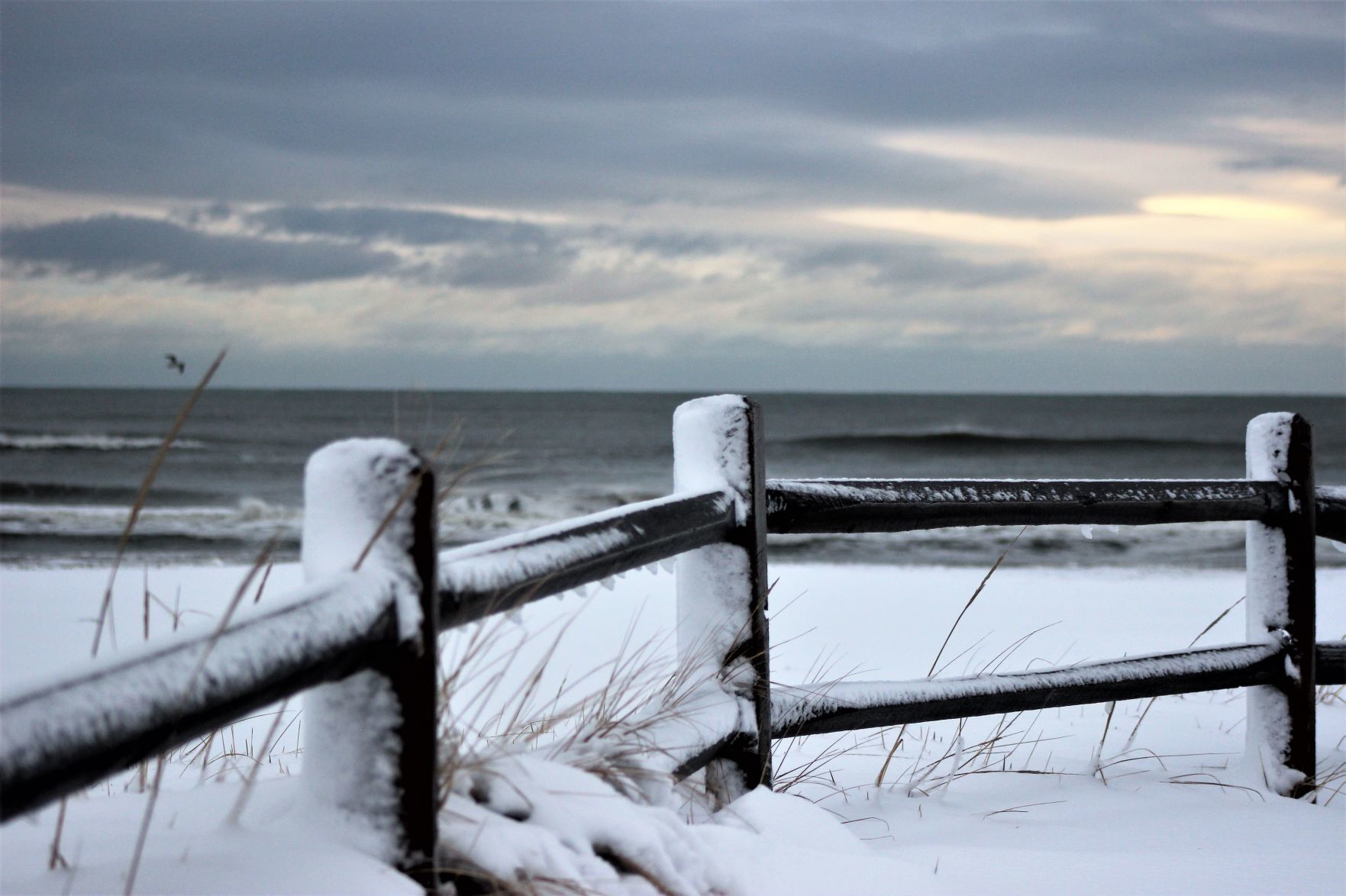 Ocean City snow